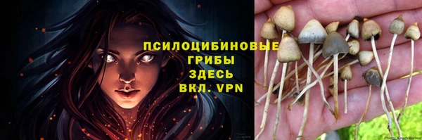 гидропоника Нягань